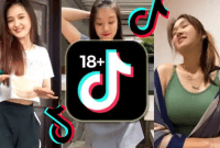 Tik Tok 18 Plus APK 1.1.8 (23 MB)