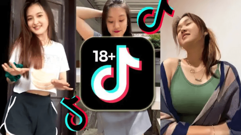 Tik Tok 18 Plus APK 1.1.8 (23 MB)