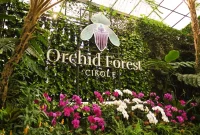 tiket masuk Orchid Forest Cikole