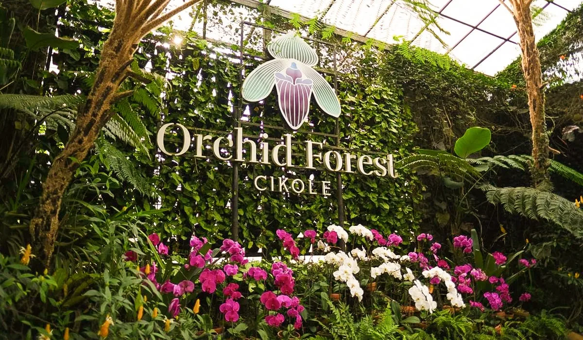 tiket masuk Orchid Forest Cikole