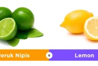 perbedaan warna lime dan lemon