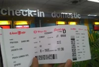print tiket lion air