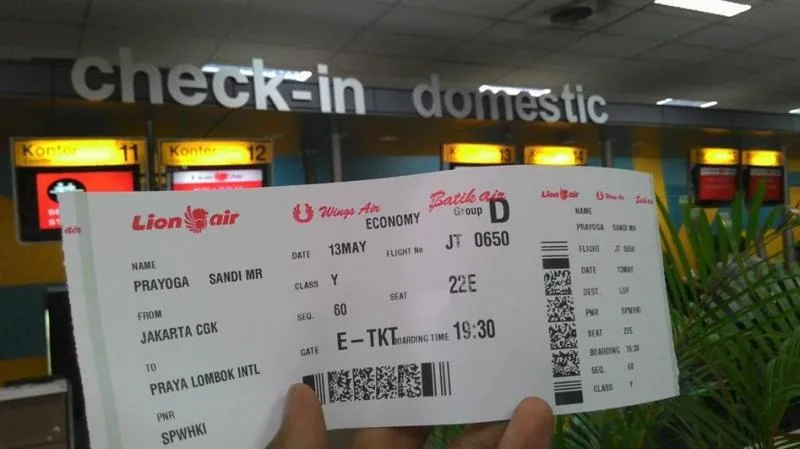 print tiket lion air